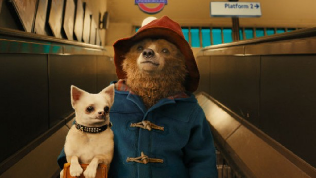 Paddington's Sticky Adventures