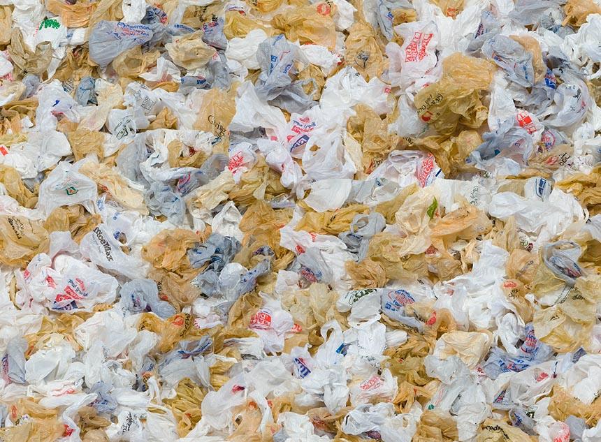 Pay or Ban: Plastic Bags?
