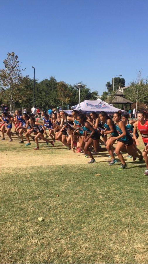 Cross Countrys First League Meet Garners Mixed Results