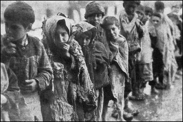 Armenian Genocide or Mass Tragedy?