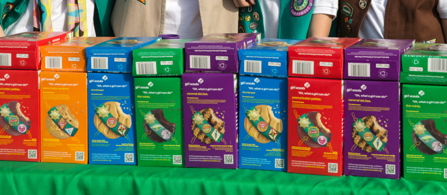 Girl Scout Cookies - Is It All They Do?