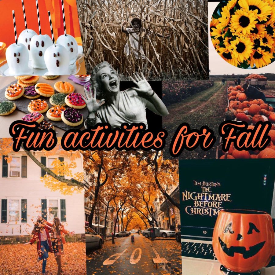 Activities+for+the+Fall+Season