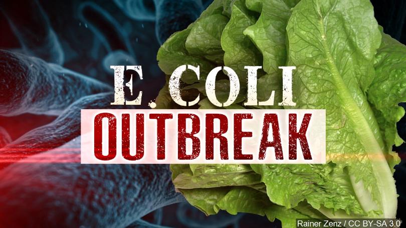 E.+Coli+Outbreak+in+Romaine+Lettuce