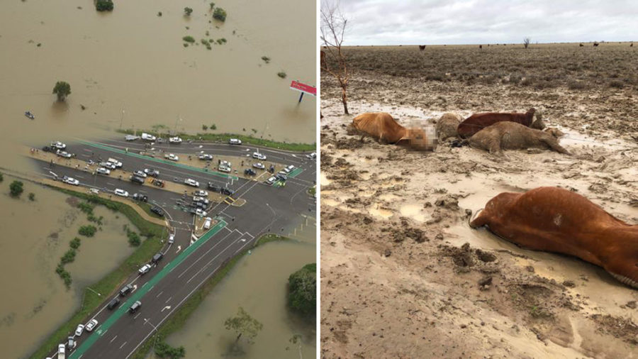 Queensland+Flood