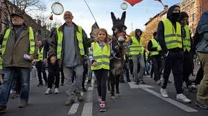 https://grist.files.wordpress.com/2018/11/Yellow-vests.jpg?w=1024&h=576&crop=1