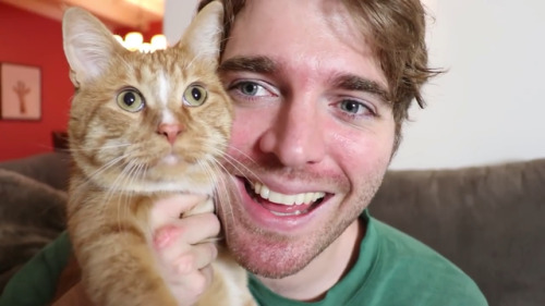 http://edailybuzz.com/2019/03/18/shane-dawson-does-nasty-things-to-cheeto-his-cat-listen-to-his-podcast/