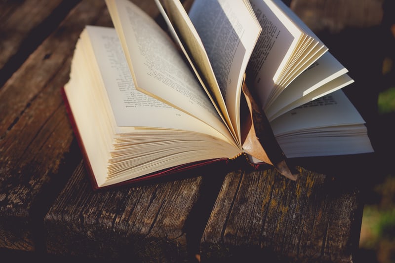 Top 6 Books You Should Read