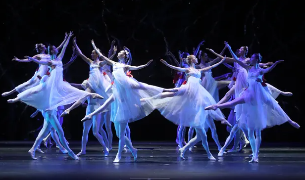 The Dark Side in the Ballet Industry
