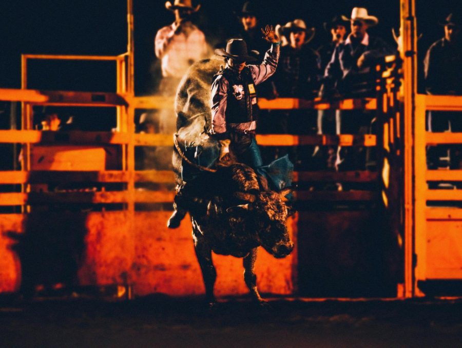 Rodeo: Life of the Western