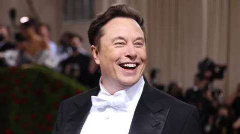 Elon Musk: Twitter Overtake