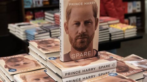 Prince Harrys Memoir