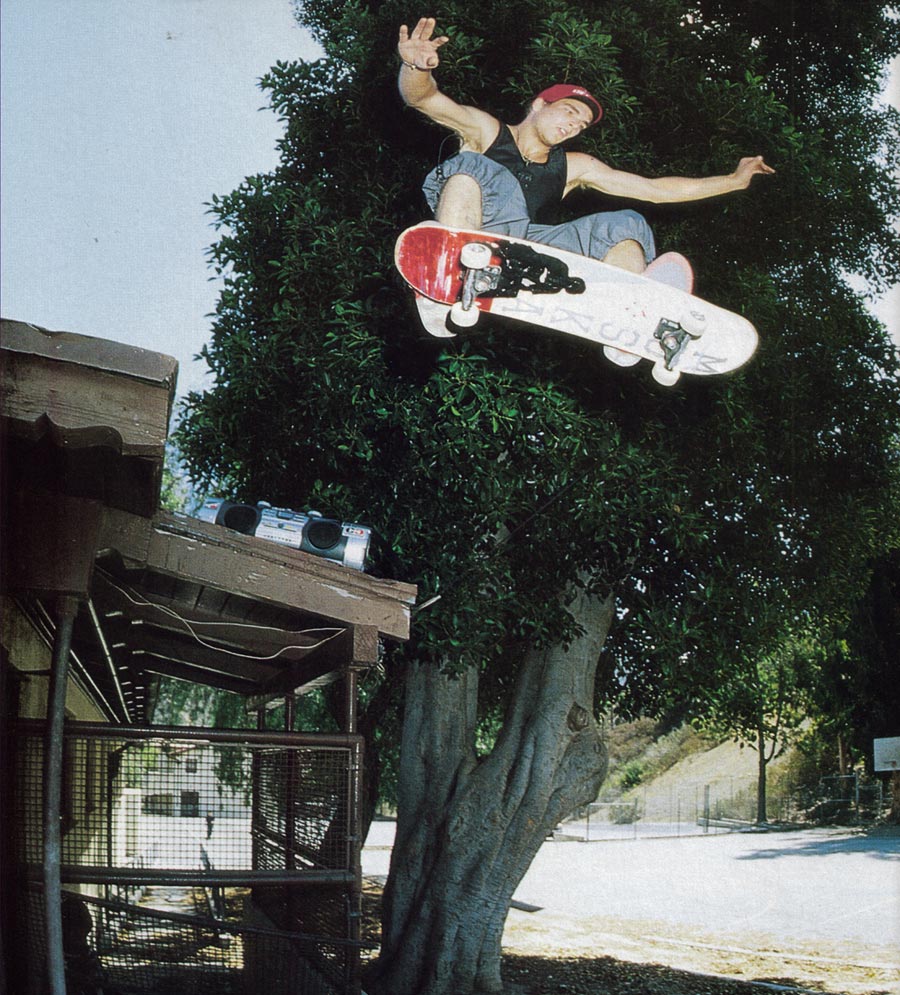 The Skateboarding Mind