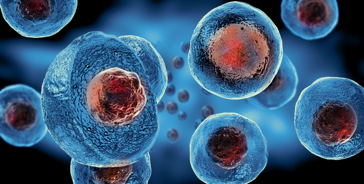 Can Breakthroughs in Stem Cell Research Transform Healing and Regeneration?