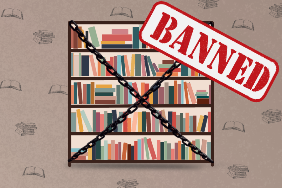 2024's Book Bans: Debating Access and Censorship in Libraries