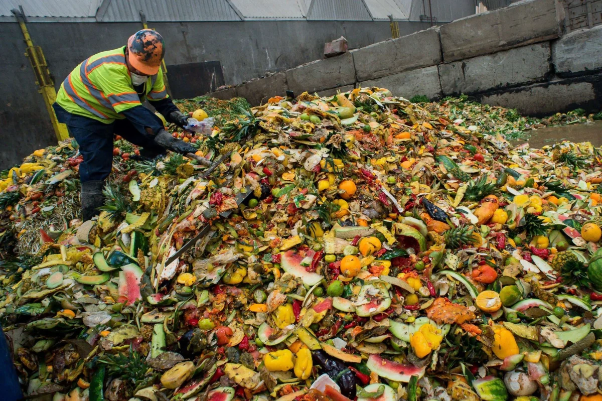 From Fridge To Garbage: Santiago And Trashing Lunch