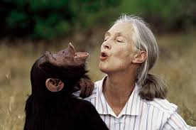 Jane Goodall’s Legacy