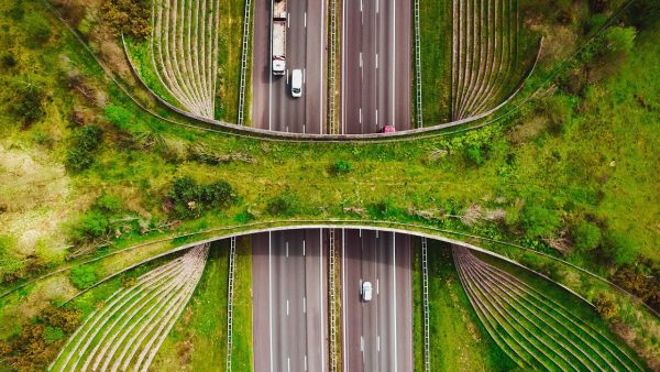 Uprise Of Wildlife Crossings In California