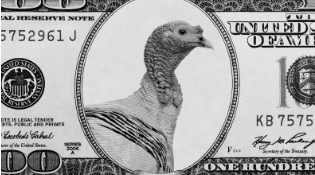 Turkeys Flying High - In Price