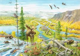 https://www.weforum.org/stories/2022/10/what-is-rewilding-nature/
