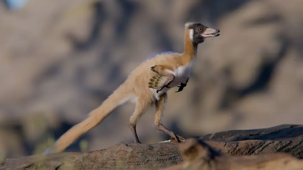Scientists Discover New Fossil