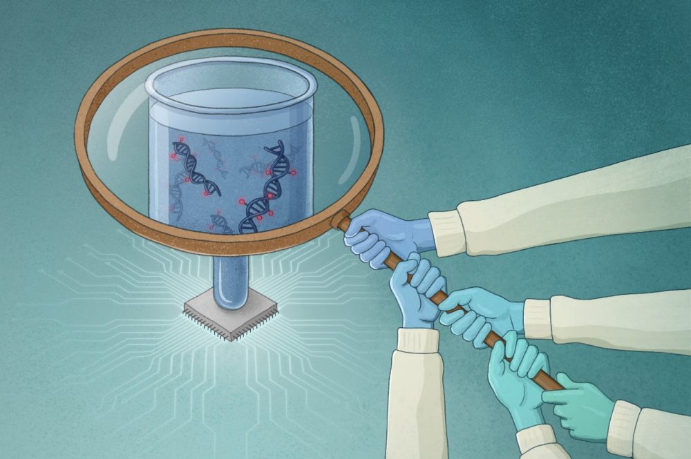 AI vs. Brain Tumors: AI Detects Brain Tumors in People